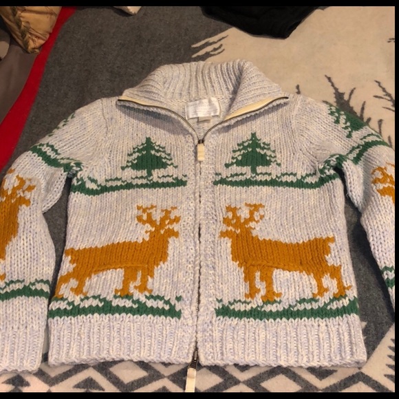 American Eagle Outfitters Sweaters - Chunky Cowichan Deer Sweater